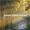 An Antidote to Stress 